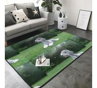 Hnnkloy Terrier de Bedlington, Chiens drôles, Chiens à Fourrure, Animaux de Compagnie, Tapis de Sol antidérapant pour Salon et Chambre, 208 x 148 cm