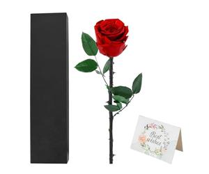 Hnonoxy Rose sur Tige, Roses éternelles, Cadeau de Saint-Valentin pour Elle, Rose Rouge en Bouquet pour Femme, Maman, Petite Amie, épouse, amies, Cadeau d'anniversaire avec Une Rose éternelle