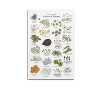 HNPBB Poster décoratif sur toile représentant des lichens et des mousses - Décoration murale moderne pour chambre à coucher - 40 x 60 cm