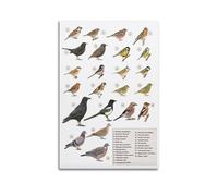 HNPBB Poster décoratif sur toile représentant les oiseaux de jardin, affiches murales et impression d'art moderne pour chambre à coucher (50 x 75 cm)