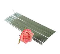 HNULGVI Fil De Fer Fleuriste Tiges, Branches et Fils de Fer for Fleurs artificielles, décoration Mariage, Accessoires for Bouquets Plantes pour Le Bricolage(30cm-30pcs)