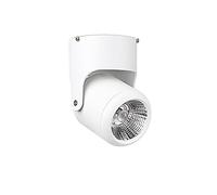 HNVBDOPAE Spot Mural Moderne Et Durable Pour Plafond, Spot Led, Plafonnier, Plafonnier Nordique, Guide, Spot Mural, Plafonnier Blanc 7 W (Couleur : 4 000 K)/4000K