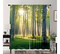 HNYDM Rideaux Modernes à imprimé Paysage forestier Minimaliste - Rideaux occultants et isolants Thermiques pour la Maison WxH/2x150x240cm