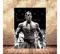 Hnyjyfa Arnold Schwarzenegger Poster Homme muscle Affiche musculation d'entraînement Decoration salle sport à domicile citations motivation d'exercice inspirante gym d'art mural 0315374