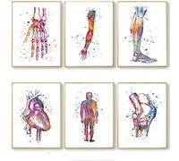 HNZKly Abstrait Corps Humain Anatomie Affiche médecine Murale Art Aquarelle méridien Peinture médicale Toile Tableau Art Salon Bureau Decoration 30x40cmx6/sans Cadre T49