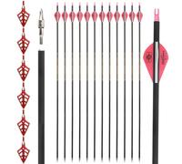 HNZMDY 12 pièces Flèches en Carbone Pur de 31 Pouces pour la Chasse et l’entraînement (Spine 500) et 6 pièces Pointes de flèche - Pointes Amovibles (Rose)
