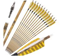HNZMDY Ensemble de 12/24 flèches Hybrides en Carbone 500 Spine avec carquois pour la Chasse en Plein air et Le tir à la Cible (12pcsYellowWhite)