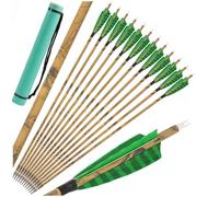 HNZMDY Ensemble de 12/24 flèches Hybrides en Carbone 500 Spine avec carquois pour la Chasse en Plein air et Le tir à la Cible (12pcsGreen Set)