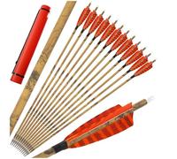 HNZMDY Ensemble de 12/24 flèches Hybrides en Carbone 500 Spine avec carquois pour la Chasse en Plein air et Le tir à la Cible (12pcsOrange Set)