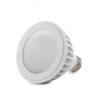 HO Ampoule LED E27 12W 960 lumens 6000K PAR30 40 000 Heures Réf HO-PAR30-12W-CW