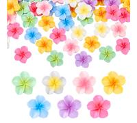 HOBBIESAY Lot de 80 cabochons en résine avec dos plat - 7 couleurs - Perles de fleurs de Plumeria - En résine - Blanc - 3D - Fleurs hawaïennes - Pour la fabrication de bijoux, le scrapbooking, les