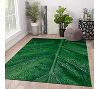 HOBBOY Tapis d’Espace 180x270cm Tapis antidérapant Lavable Feuille Tropicale bohème Verte avec Motif de Gouttes d’Eau Moquette à Poil Bas pour Salon Chambre paillasson de Porte de Salle à Manger