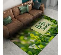 HOBBOY Tapis de Sol rafraîchissant Vert Feuilles Bonjour Plantes de Printemps thème Mince Tapis d’intérieur Lavable Portable pour Salon Cuisine Patio 120 x 170 cm