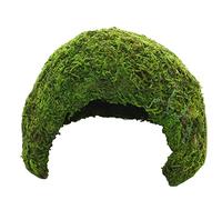 Hobby Jungle Cave - Grotte pour Terrariums - Gr. 1 Naturel Mousse Humidité