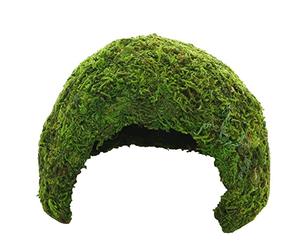 Hobby 34600 Jungle Cave 1 74 g