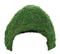Hobby 34604 Jungle Cave 3 243 g