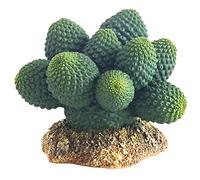 Hobby 37018 Cactus Artificiel du désert d'Atacama 7 cm