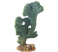 Hobby 37020 Victoria 2 Cactus Artificiel Hauteur 22 cm