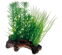 Hobby 51595 Flora Root 2 Racine avec Pousse d'herbe factice pour décoration d'aquarium Petit Format
