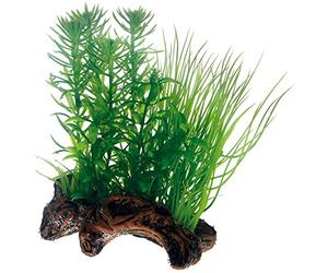 Hobby 51595 Flora Root 2 Racine avec Pousse d'herbe factice pour décoration d'aquarium Petit Format