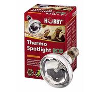 Hobby Ampoule Thermo Spotlight Eco
