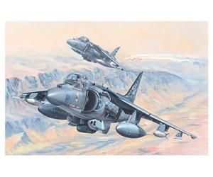 Hobby Boss 081804 1/18 AV-8B Harrier II Kit de modélisme ferroviaire en Plastique Multicolore