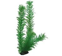 Hobby Egeria, 34 cm