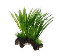 Hobby 51593 Flora Root 1 Racine avec Pousse d'herbe factice pour décoration d'aquarium Format Small
