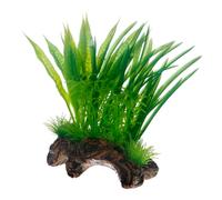 Hobby 51593 Flora Root 1 Racine avec Pousse d'herbe factice pour décoration d'aquarium Format Small