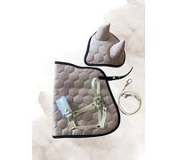 Hobby Horse Set A4
