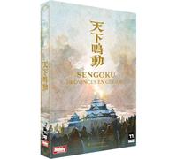 Hobby JAPAN Sengoku : Provinces en Guerre | Jeu de Société Stratégique et Tactique | Conquérez Les 11 Châteaux du Japon Féodal | Dés, Cartes Tactiques & Armées de Daimyo