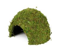 Hobby Jungle Cave - Tente Pour Terrariums - Taille 2 Mousse Naturelle Humidité