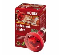 Hobby Lampe À Infrarouge Éco Infrarouge Halogène 42W Pour Reptiles