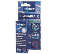 Hobby Planaria
