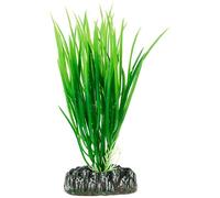 Hobby Plante Cyperus 16 cm 41500