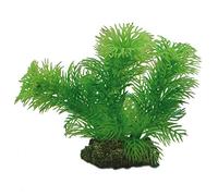 Hobby Plante EGERIA 13 cm 41510