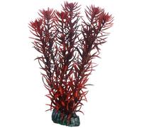 Hobby Plante EUSTERALIS 20 cm 51582