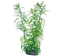 HOBBY Plante artificielle Heteranthera 25 cm - verte, fixée sur roche décorative