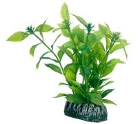 Hobby Plante HYGROPHILA 13 cm 51559