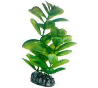 Hobby Plante SAURURUS 16 cm 51563