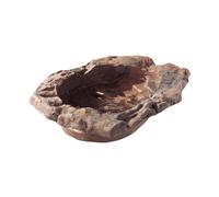 Hobby Terra Pond Immense 50x35x6 CM Boire Et Salle de Bains Bol Reptiles