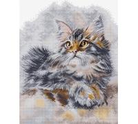 HobbyJobby Kit de broderie au point de croix "Le chat fier", motif à compter, 25x31cm