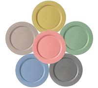 Hobein Lot de 6 assiettes plates de 25,4 cm, saines et passent au lave-vaisselle et au micro-ondes, incassables et légères, saines pour les enfants (25,4 cm)