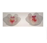 HOBI 2 Bougies Flottante orchidée - Blanche - Diamètre 7.2 cm.
