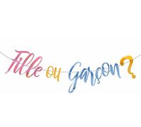 Hobi Mariage Grande Guirlande Fille ou Garçon ? Gender Reveal 2,5m