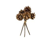 HOBI Tendances Fêtes - Bouquet 6 Pommes DE PIN VÉRITABLES 20X12CM Nature