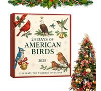 Hobngmuc Calendrier De L Avent Oiseau De Noël,Décoration 2D En Acrylique Pour Les Fêtes 24 Jours | Calendrier De Compte À Rebours Oiseau Coloré,Pour Maison Arbre Noël Rétroviseur Voiture Cadeaux Fête