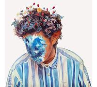 Hobo Johnson - Fall of Hobo Johnson [Import]