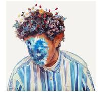 Hobo Johnson - Fall Of Hobo Johnson [Vinyl]
