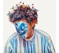 Hobo Johnson - Fall Of Hobo Johnson [Vinyl]